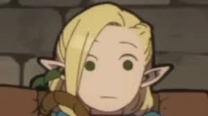 阿尼亚的内部训练赛wp